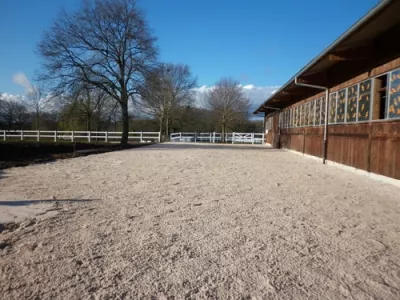 Carrière à chevaux